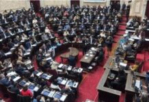 En Diputados, el oficialismo logró la aprobación de la ley que recorta los subsidios al gas por “zona fría”