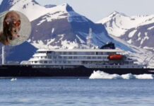Tres personas murieron tras un brote de hantavirus en un crucero que partió desde Argentina