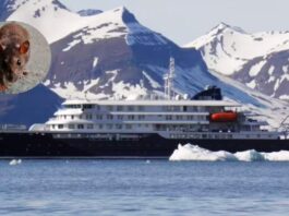 Tres personas murieron tras un brote de hantavirus en un crucero que partió desde Argentina