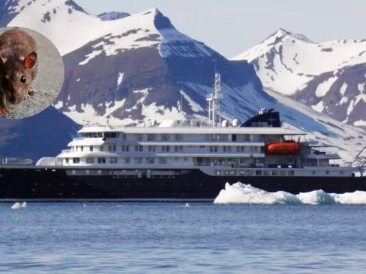 Tres personas murieron tras un brote de hantavirus en un crucero que partió desde Argentina