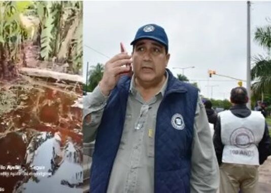 Productores bananeros del Norte se unen en Formosa ante una crisis que pone en riesgo el arraigo rural