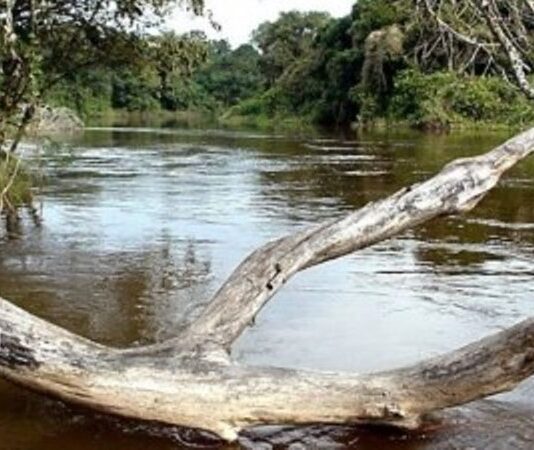 RIACHO HE HE: Intensa búsqueda de un hombre desaparecido tras el vuelco de una canoa en el Montelindo Chico