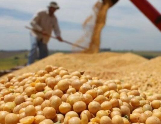 EL AGRO FESTEJA: La soja logra el mejor rinde en seis campañas