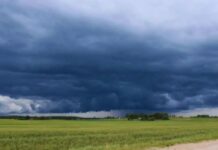 Se confirmó El Niño: cuáles son las oportunidades y riesgos para la campaña 2026/27
