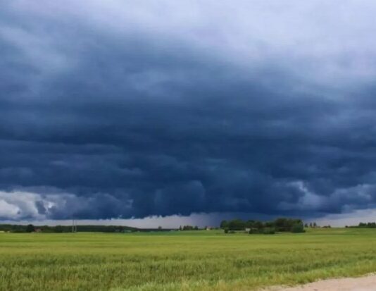Se confirmó El Niño: cuáles son las oportunidades y riesgos para la campaña 2026/27