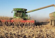 El agro liquidó casi US$ 2.500 millones en abril, con fuerte impulso de la cosecha