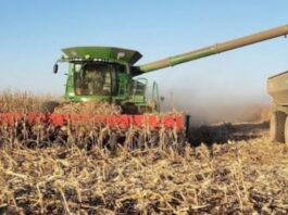 El agro liquidó casi US$ 2.500 millones en abril, con fuerte impulso de la cosecha
