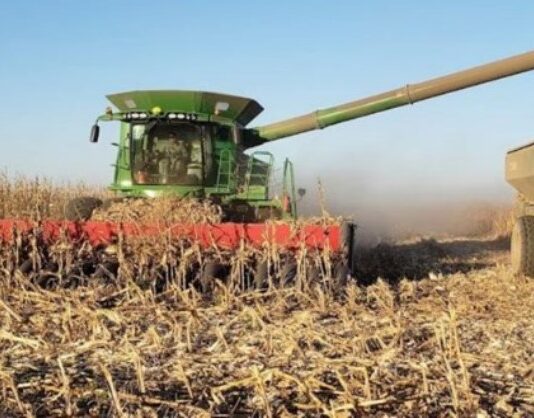El agro liquidó casi US$ 2.500 millones en abril, con fuerte impulso de la cosecha
