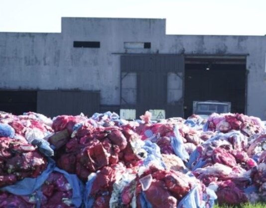 Residuos biopatogénicos: «Es una desidia asesina, detrás de esta falta de control, hay gente que se enferma y se muere»