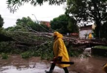 El temporal provocó anegamientos y la caída de árboles y postes del servicio eléctrico en la ciudad capital