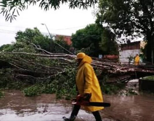 El temporal provocó anegamientos y la caída de árboles y postes del servicio eléctrico en la ciudad capital