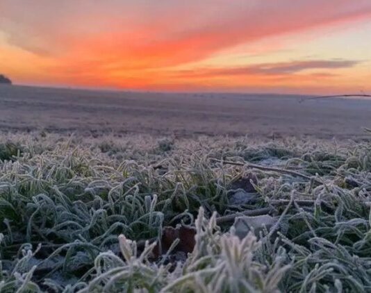 El pronóstico para este lunes: Ambiente frío al amanecer, con riesgo de heladas