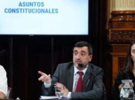 Comenzó el Senado el análisis para la eliminación de las PASO