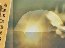 El pronóstico para este jueves: Análisis de las temperaturas y las lluvias