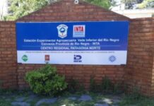 Achique en el INTA: se confirmaron 757 retiros voluntarios para reducir un 20% la planta de personal