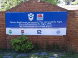 Achique en el INTA: se confirmaron 757 retiros voluntarios para reducir un 20% la planta de personal