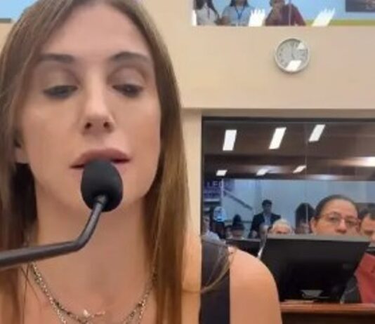 Villaggi y el «trabajo» legislativo de la Cámara de Diputados de Formosa: «Se declaró de interés legislativo la Fiesta del Mbejú y nada más»