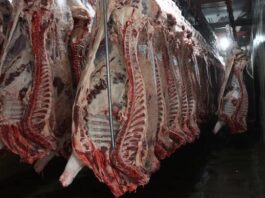 Las exportaciones de carne vacuna crecieron 42% y alcanzaron su mejor nivel de precios en cuatro años