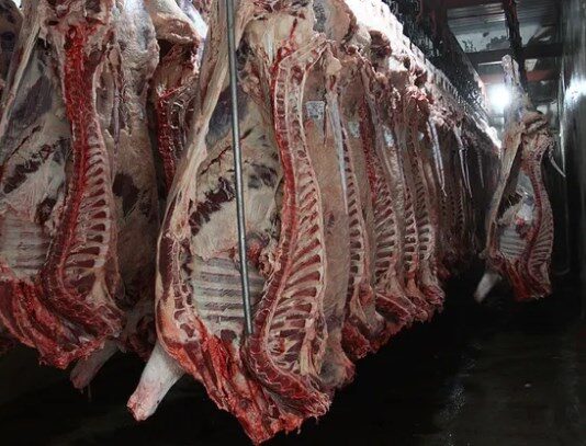 Las exportaciones de carne vacuna crecieron 42% y alcanzaron su mejor nivel de precios en cuatro años