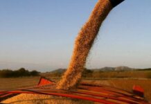 El Gobierno oficializó la baja de retenciones para los principales cultivos y el biodiésel