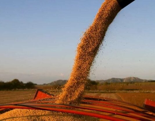 El Gobierno oficializó la baja de retenciones para los principales cultivos y el biodiésel