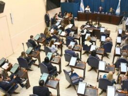 Reclaman más políticas contra la violencia de género en la Legislatura: «Cada mujer asesinada representa un fracaso colectivo»