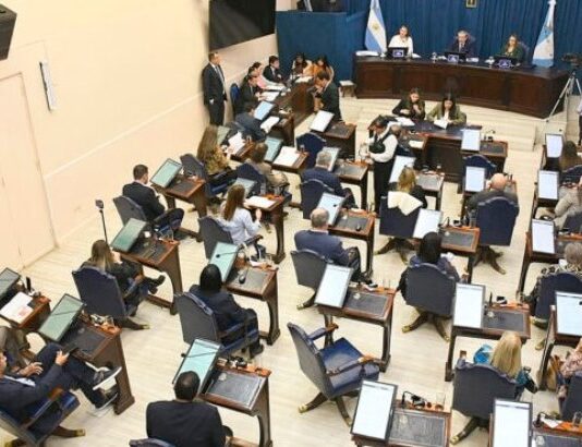 Reclaman más políticas contra la violencia de género en la Legislatura: «Cada mujer asesinada representa un fracaso colectivo»