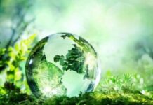 Día Mundial del Medio Ambiente: ¿por qué se conmemora este 5 de junio?