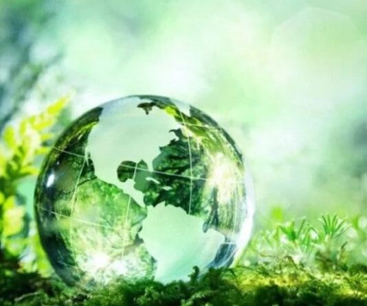 Día Mundial del Medio Ambiente: ¿por qué se conmemora este 5 de junio?