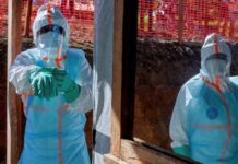 Alarma sanitaria en Brasil por dos casos sospechosos de ébola: ¿existe el riesgo de un brote regional?