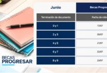 POR DNI: El 17 de julio, arrancan los pagos de las Becas Progresar confirmado por Capital Humano