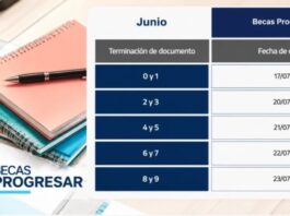POR DNI: El 17 de julio, arrancan los pagos de las Becas Progresar confirmado por Capital Humano