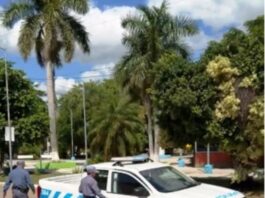 LAGUNA BLANCA: La Policía detuvo a dos sujetos y recuperó bienes robados