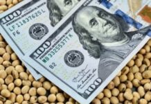 El agro, la minería y la energía aportarían divisas récord por US$57.200 millones en 2026