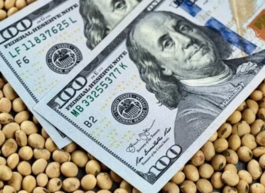 El agro, la minería y la energía aportarían divisas récord por US$57.200 millones en 2026