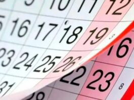 Agosto trae un nuevo fin de semana largo: cuándo será, según el calendario oficial