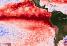 Fenómeno El Niño: pronósticos internacionales anticipan un evento histórico