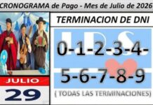 Pago de Pensiones Povinciales dependientes del IPS