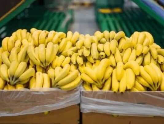Jujuy y Salta acordaron mantener los controles sanitarios a las importaciones de bananas por la desregulación «inconsulta» del sector