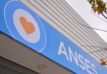 ANSES: Nación extendió por un año el plazo para solicitar la Asignación por Embarazo