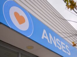 ANSES: Nación extendió por un año el plazo para solicitar la Asignación por Embarazo