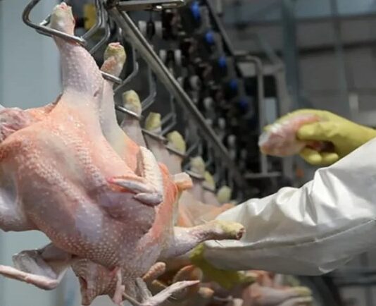El consumo de pollo marcaría un récord en 2026 y consolida un cambio en la dieta de los argentinos