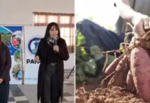 El Gobierno celebra el PAIPPA, pero los productores siguen esperando las soluciones que nunca llegan