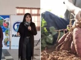 El Gobierno celebra el PAIPPA, pero los productores siguen esperando las soluciones que nunca llegan