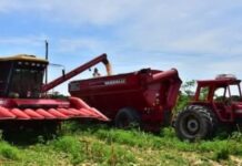Las exportaciones de Formosa cayeron 0,7% y quedaron entre las más bajas del país