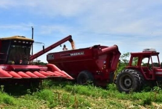 Las exportaciones de Formosa cayeron 0,7% y quedaron entre las más bajas del país