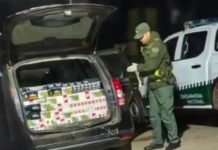Detuvieron a un gendarme que trasladaba cigarrillos de contrabando en Formosa
