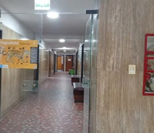 El juicio por la caza de un yaguareté terminó en una audiencia virtual y la sentencia será el 7 de septiembre
