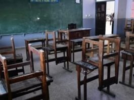 Hubo un alto acatamiento al paro docente en la provincia: ADF reportó un 93% y para GDA fue “contundente”.