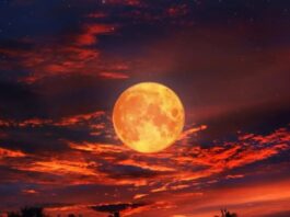 La Luna se teñirá de rojo: a qué hora será el eclipse lunar de agosto 2026